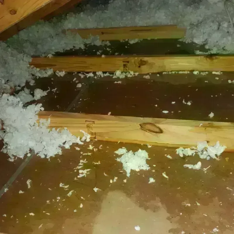 Attic Water Damage in Lincoln, MT